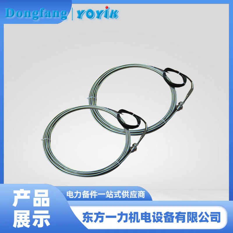 鉑電阻 鉑電阻